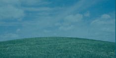 A large field of grass under a blue sky.